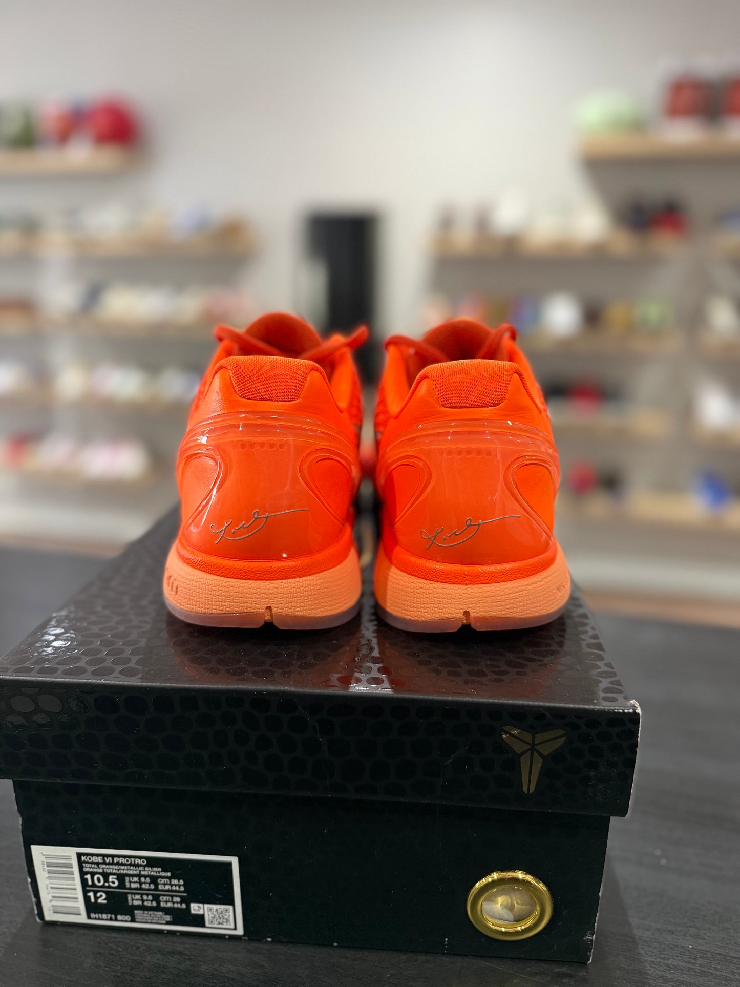 Kobe 6 Total Orange