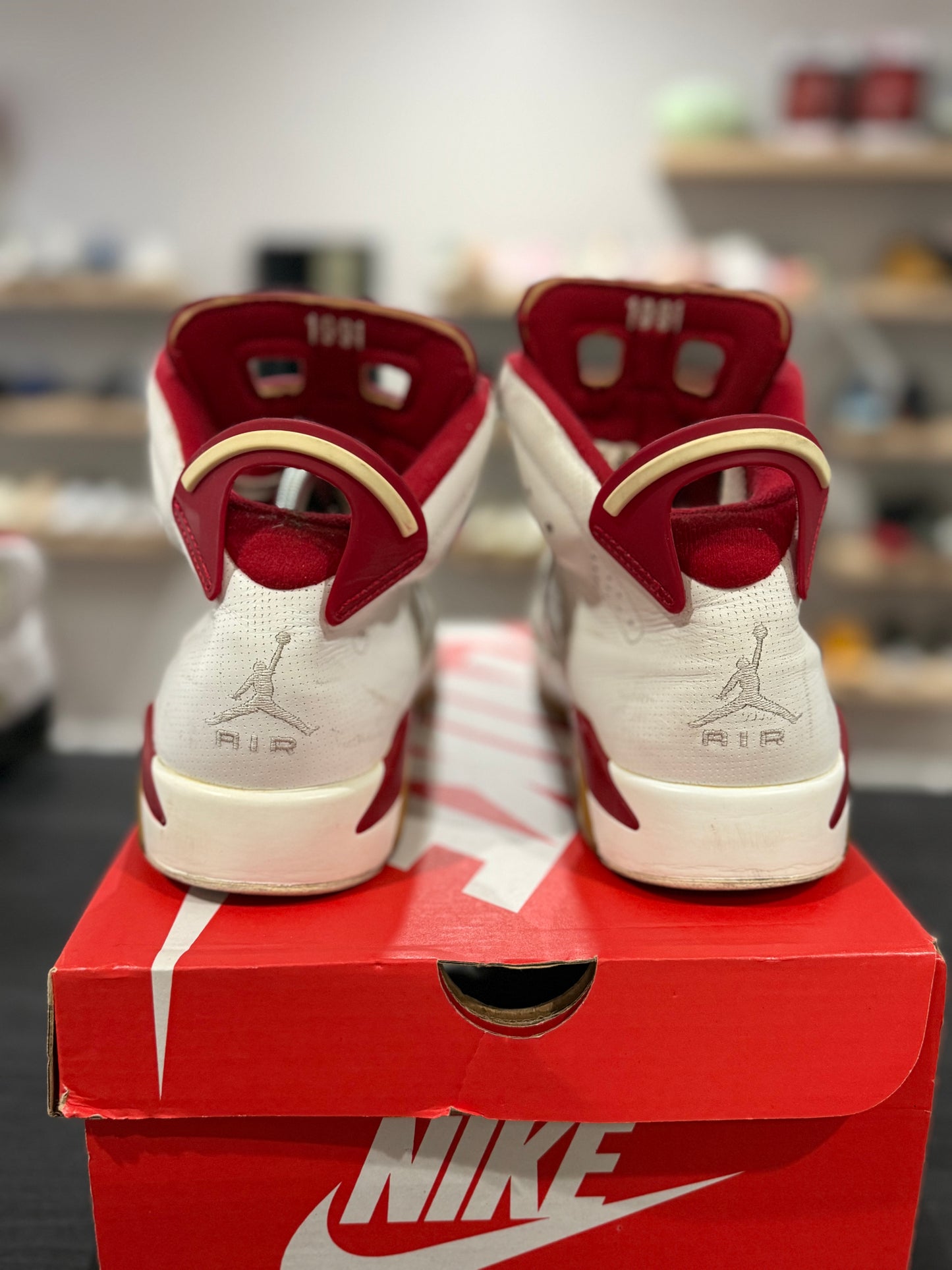 Jordan 6 Alternative Hare (Used)