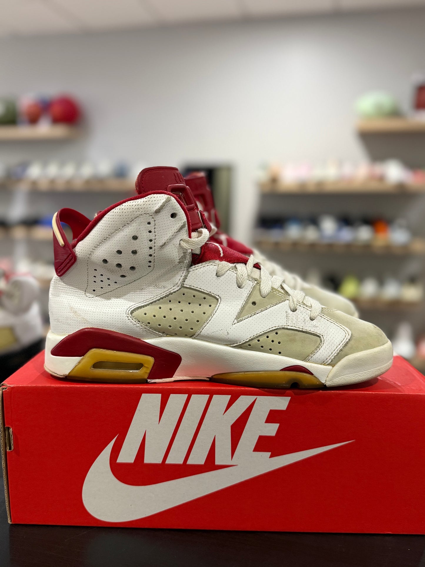 Jordan 6 Alternative Hare (Used)
