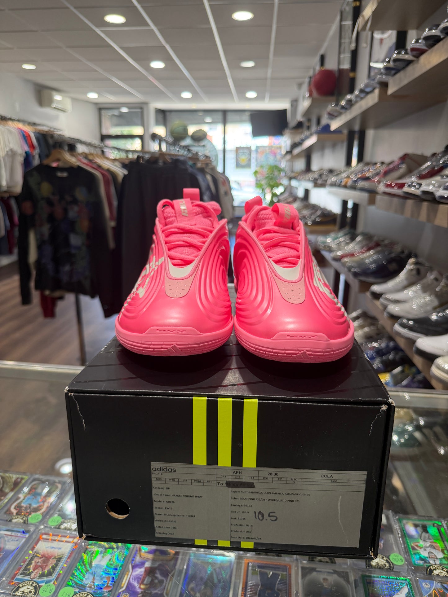 Harden Vol. 10 Rayasianboy PE