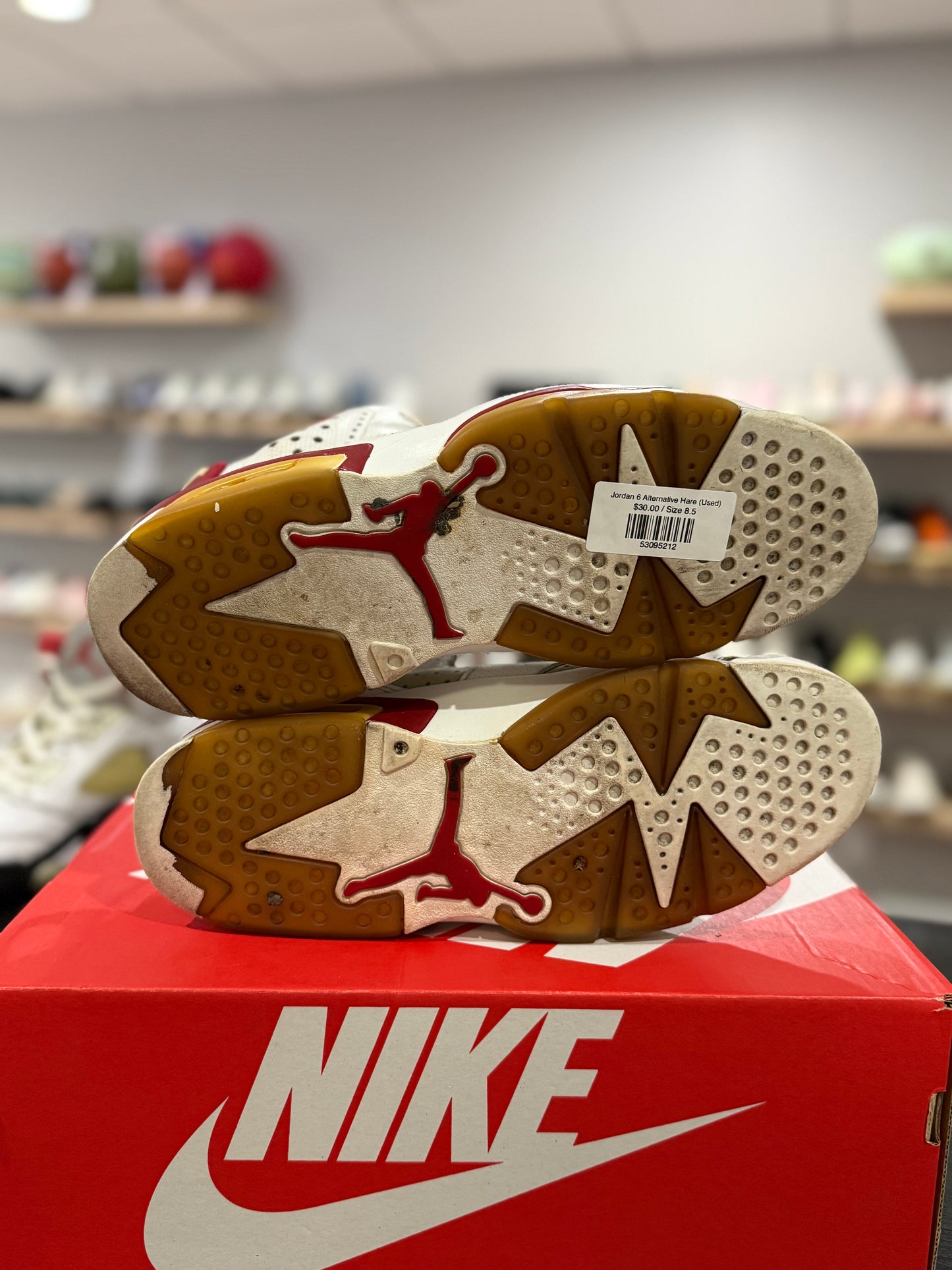 Jordan 6 Alternative Hare (Used)