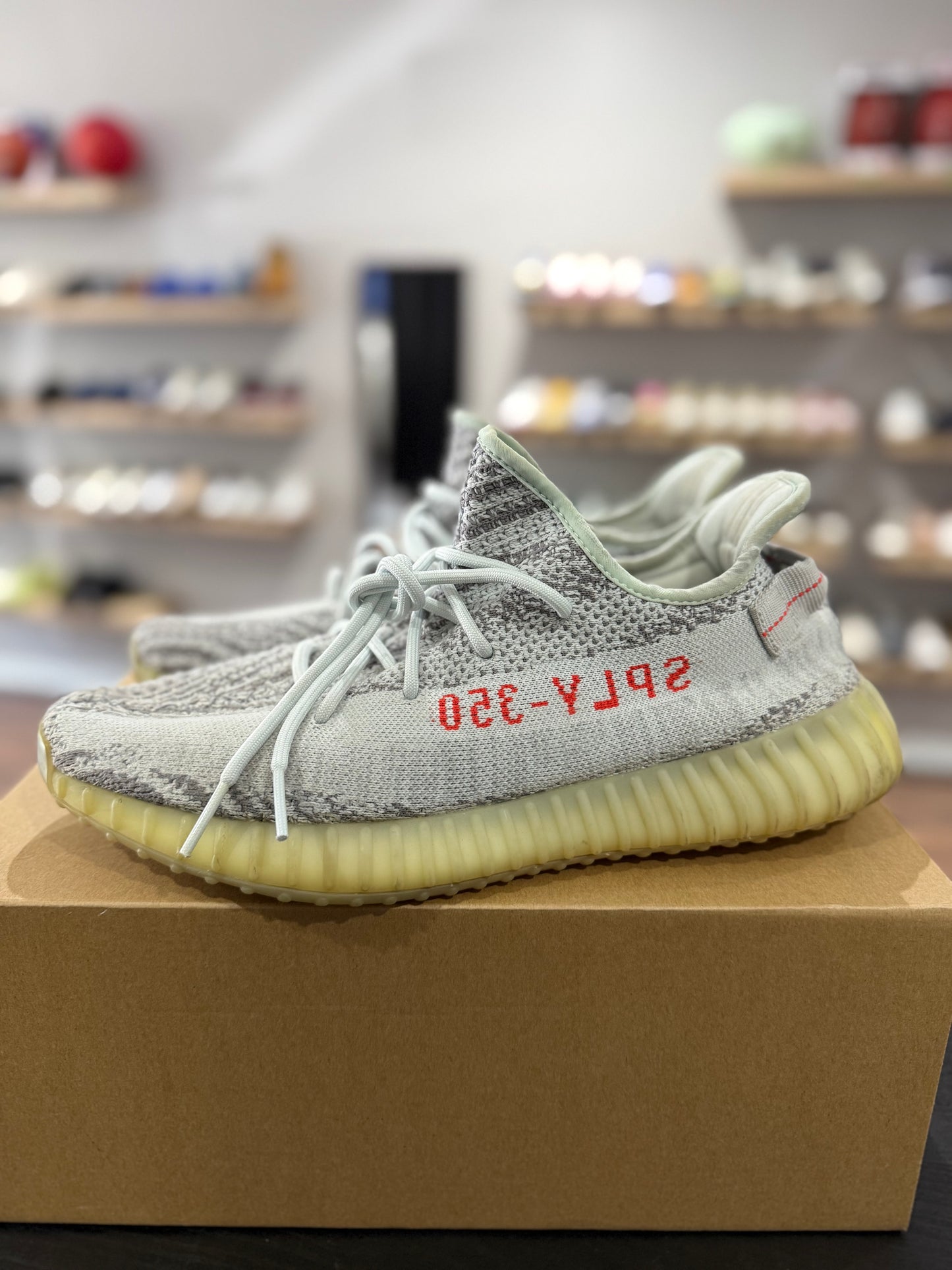 Blue Tint Yeezy Boost 350 V2 (Used)
