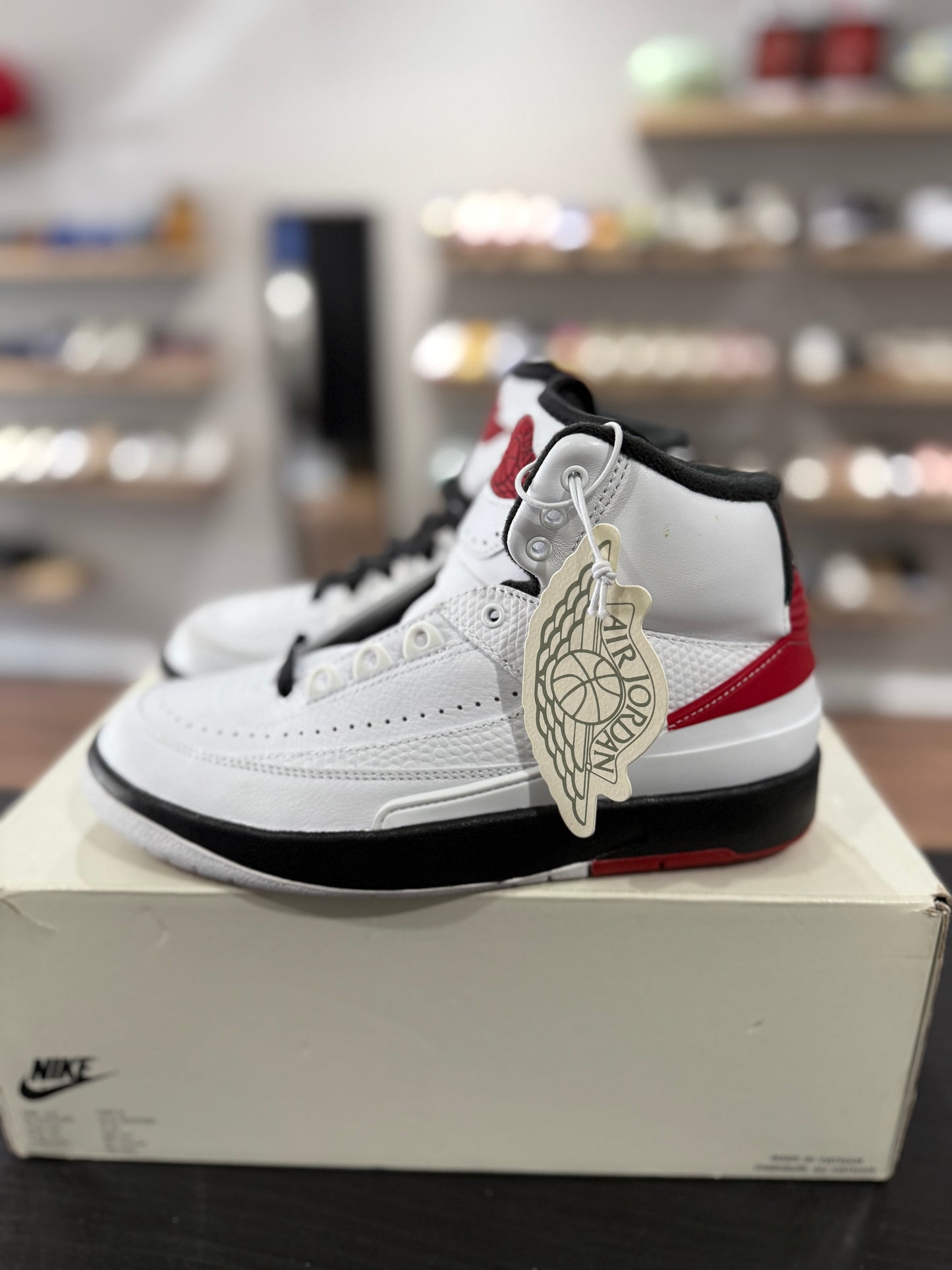 Chicago Jordan 2 (Used)