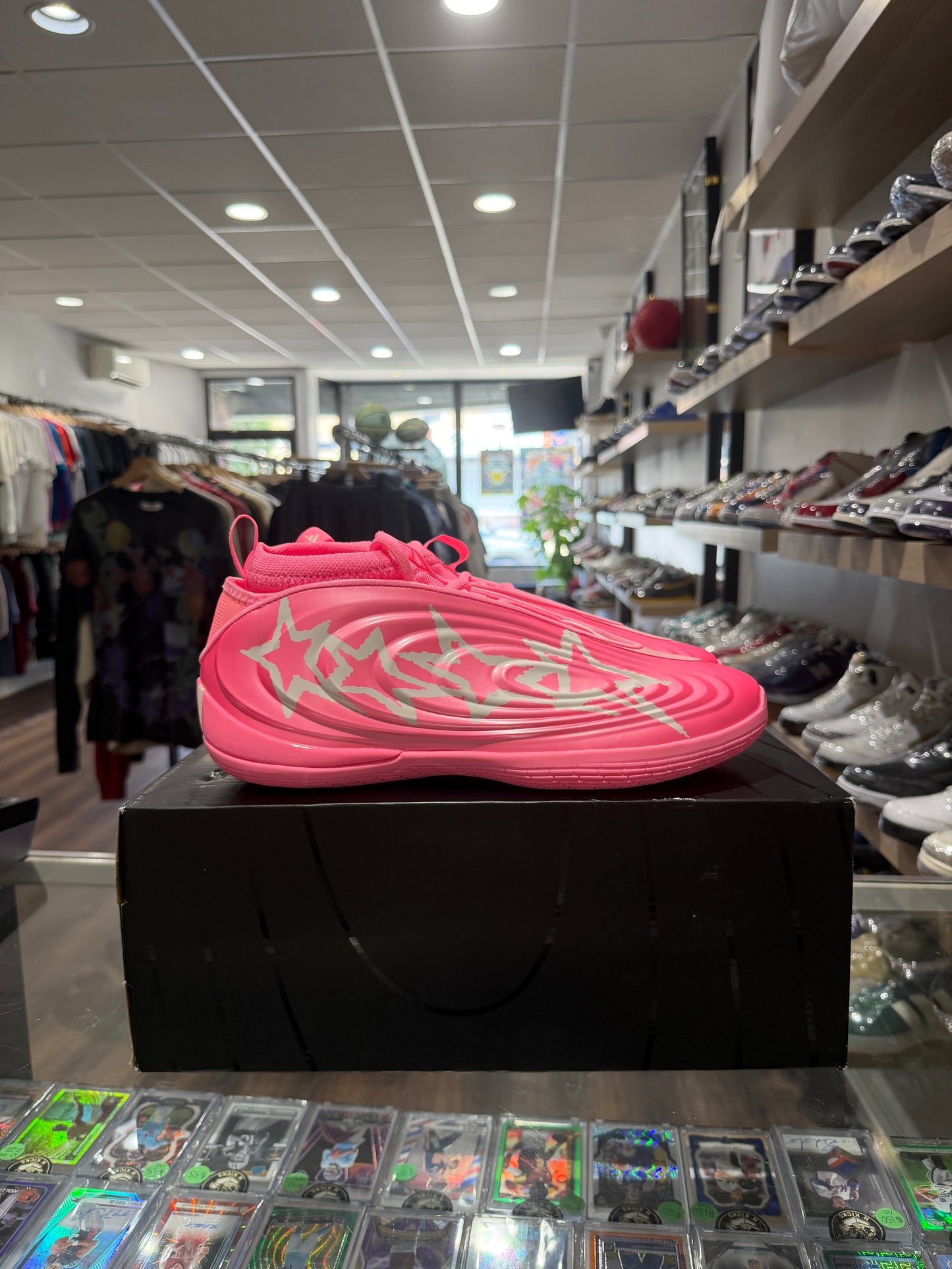 Harden Vol. 10 Rayasianboy PE