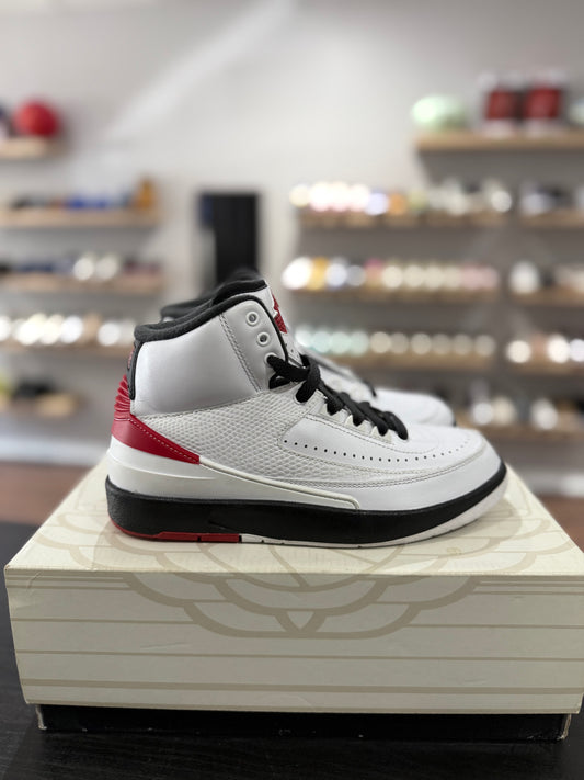 Chicago Jordan 2 (Used)