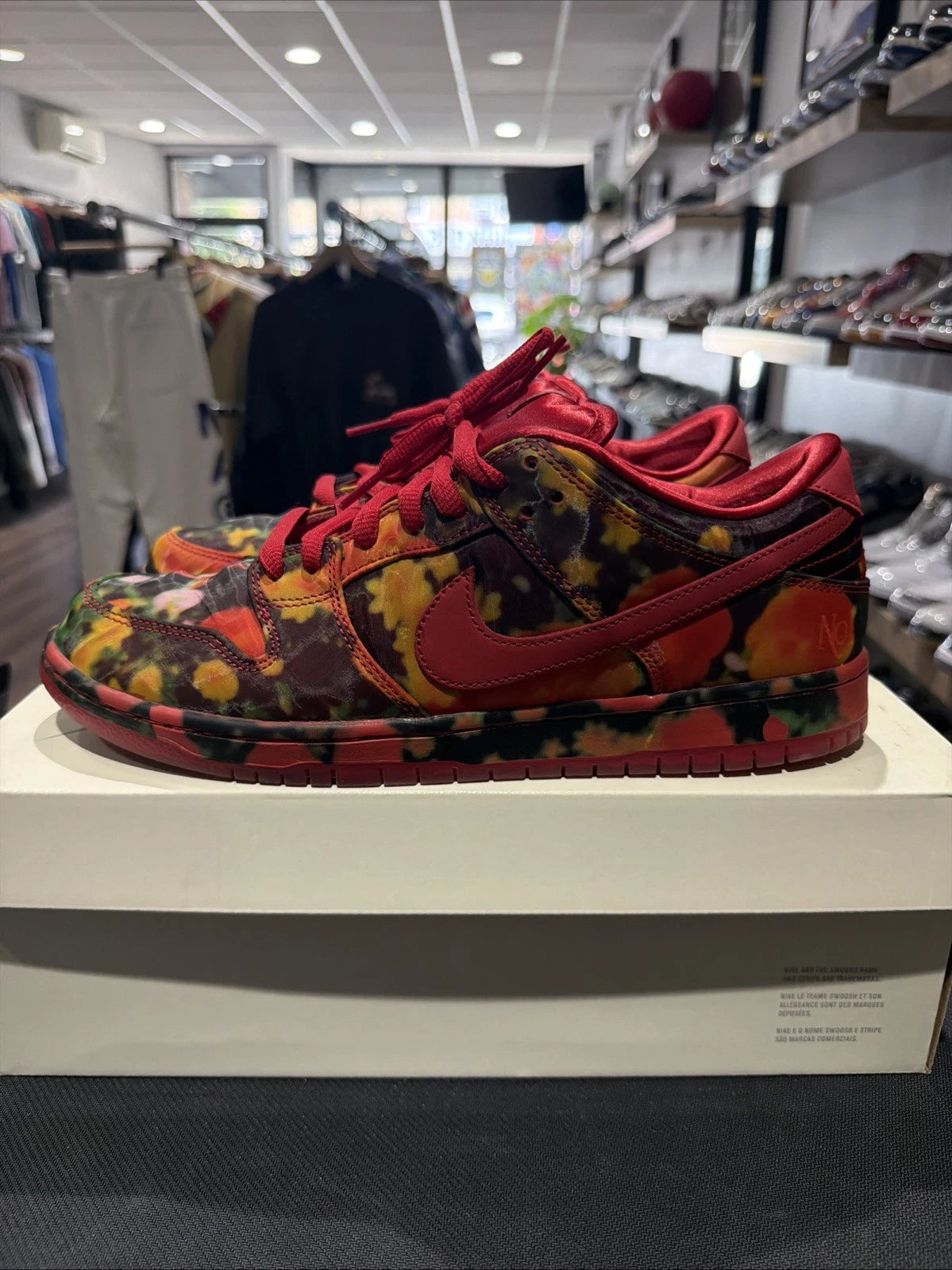 SB Dunk Low Wizard of Oz